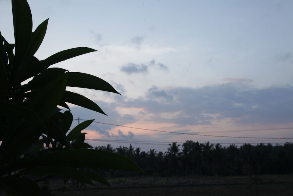 Kubu Soca Villa