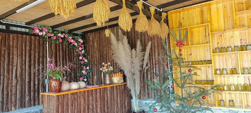 Lý Gia Homestay