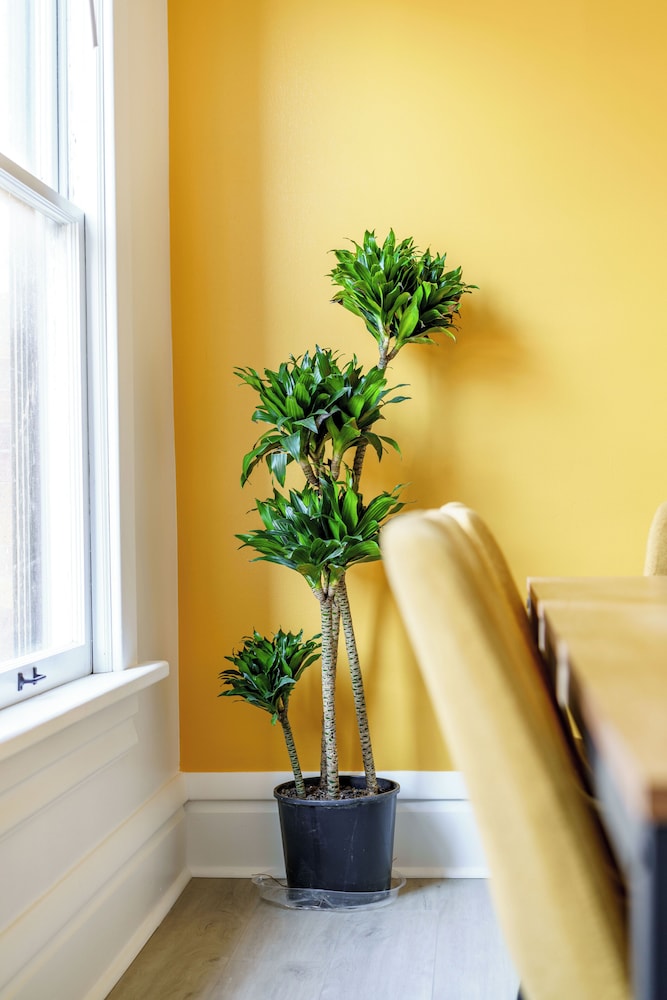 Jungle House Boutique Residences – Downtown Columbus & Short North