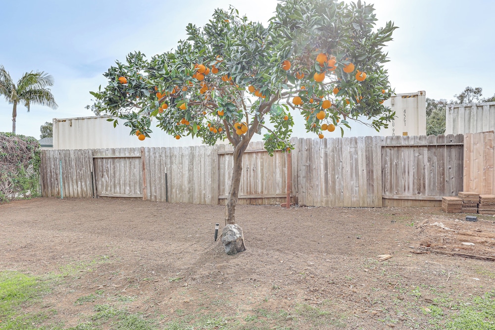 Sunny Oceanside Home w/ Patio, 5 Mi to Downtown!