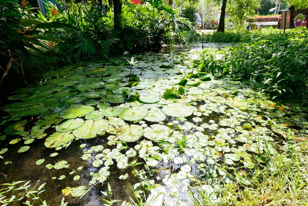 Fairy Story Ecological Farm B&B