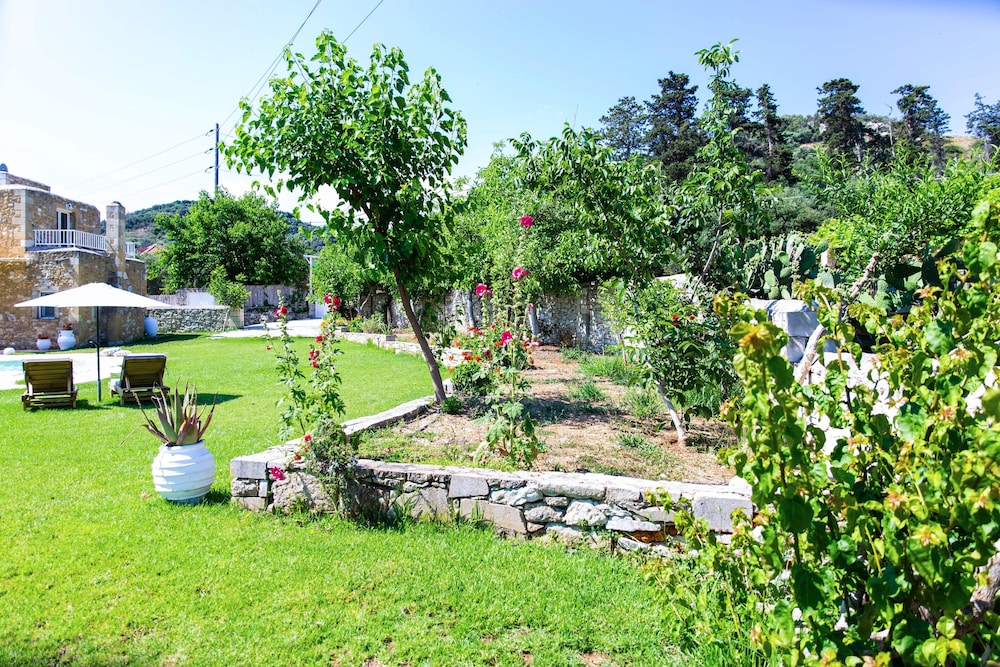 Photo 21