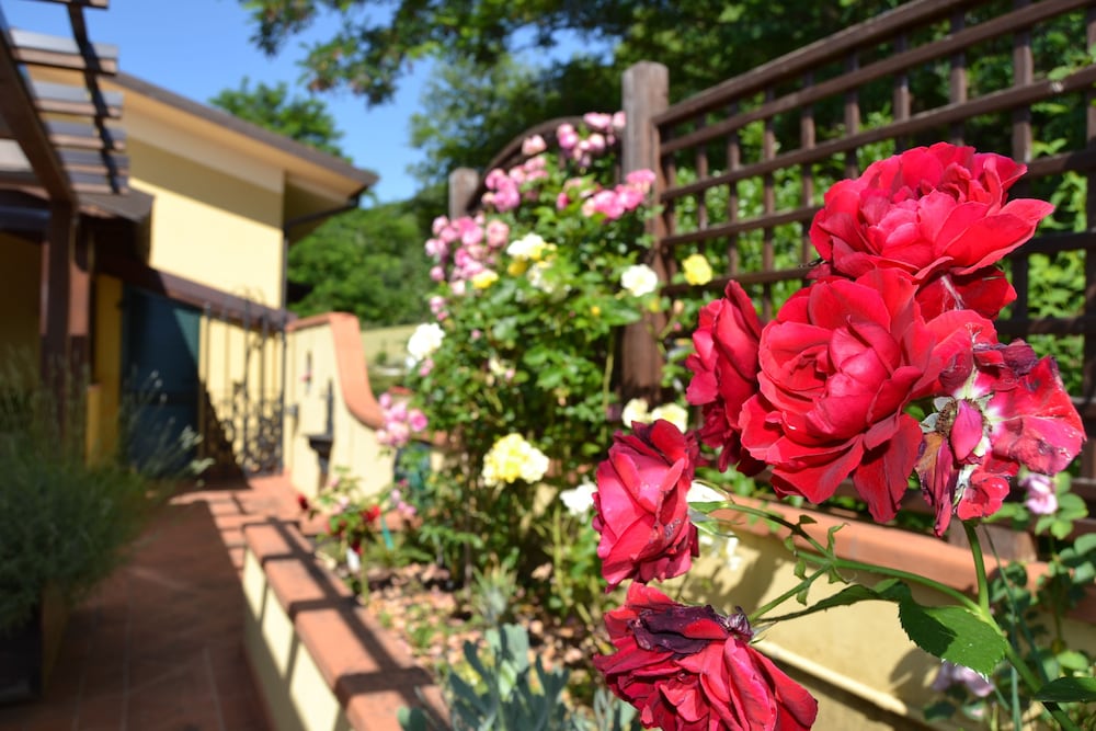 Bed & Breakfast La Valle
