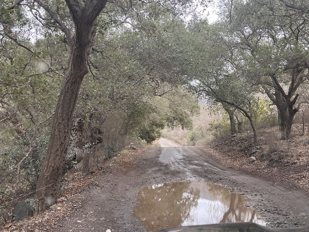 Ensenada Vacations - Rancho San Carlos Aguas Termales - Property Image 135