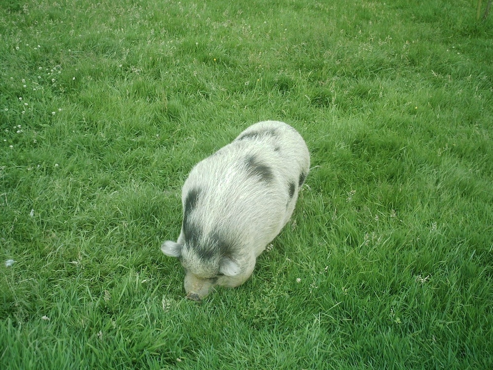Photo 27