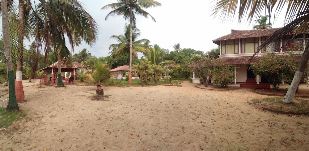 Photo 19