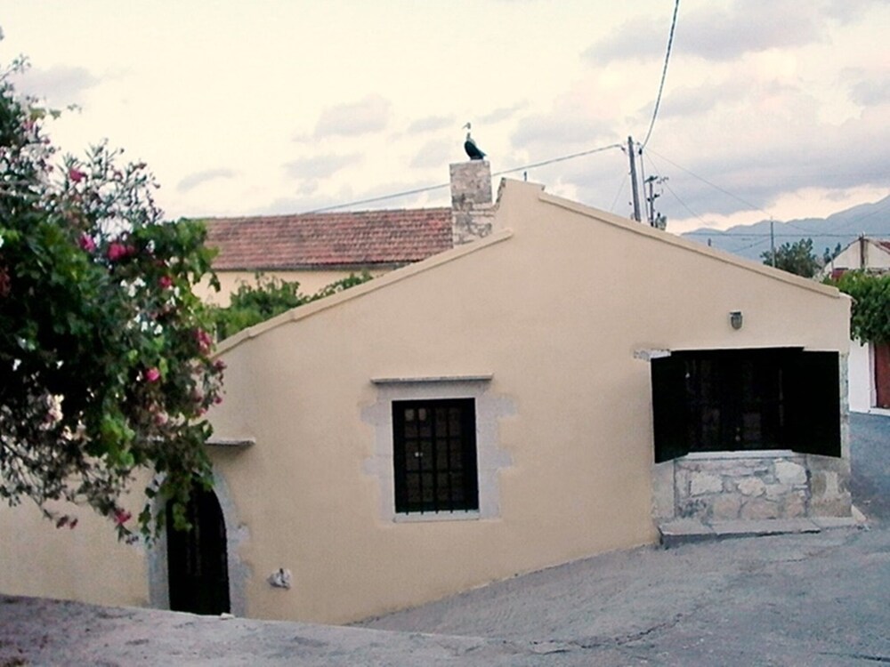 Photo 7