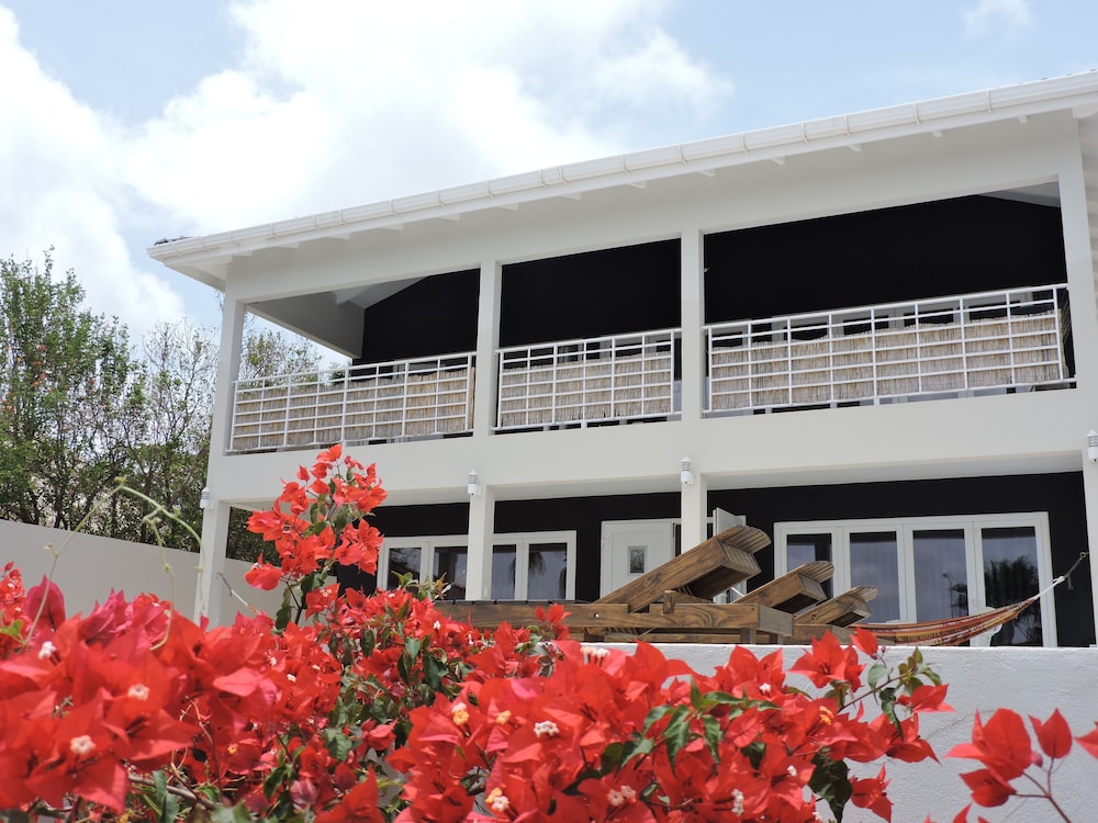 B&B Bellavista
