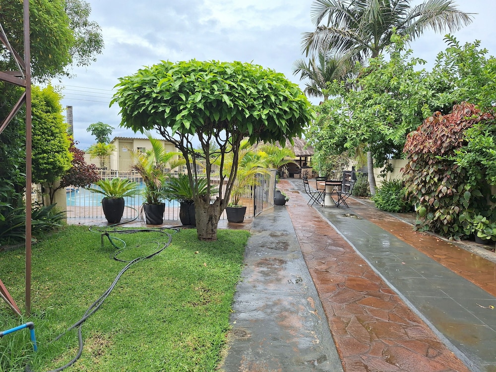 Photo 41