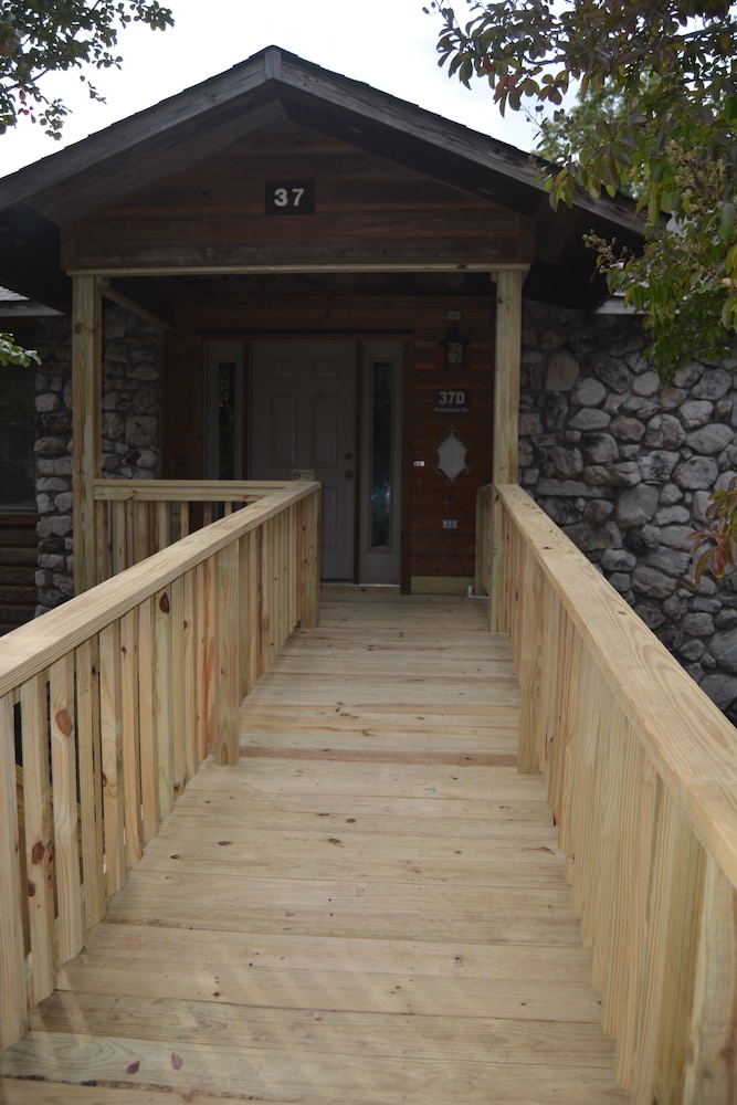 Photo 41