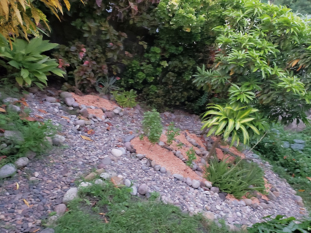 Photo 35