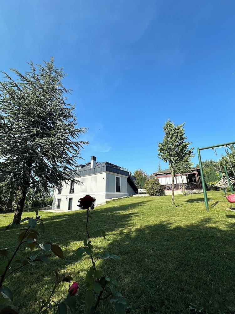 Photo 31