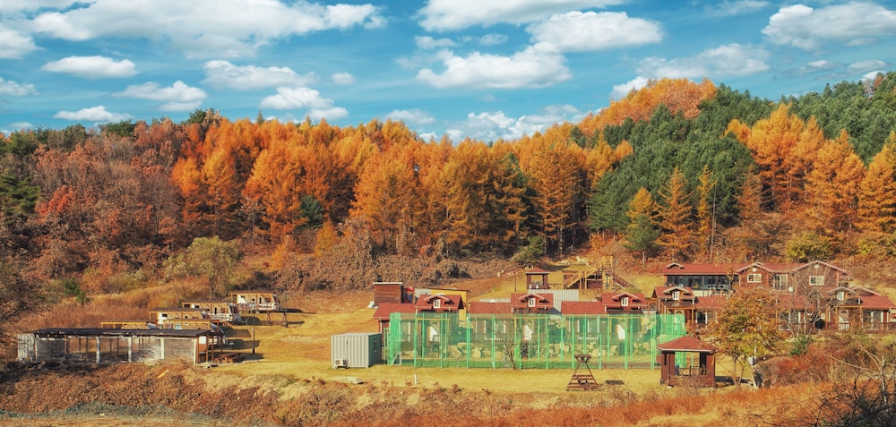 Hotel Nature and Healing - Image 1