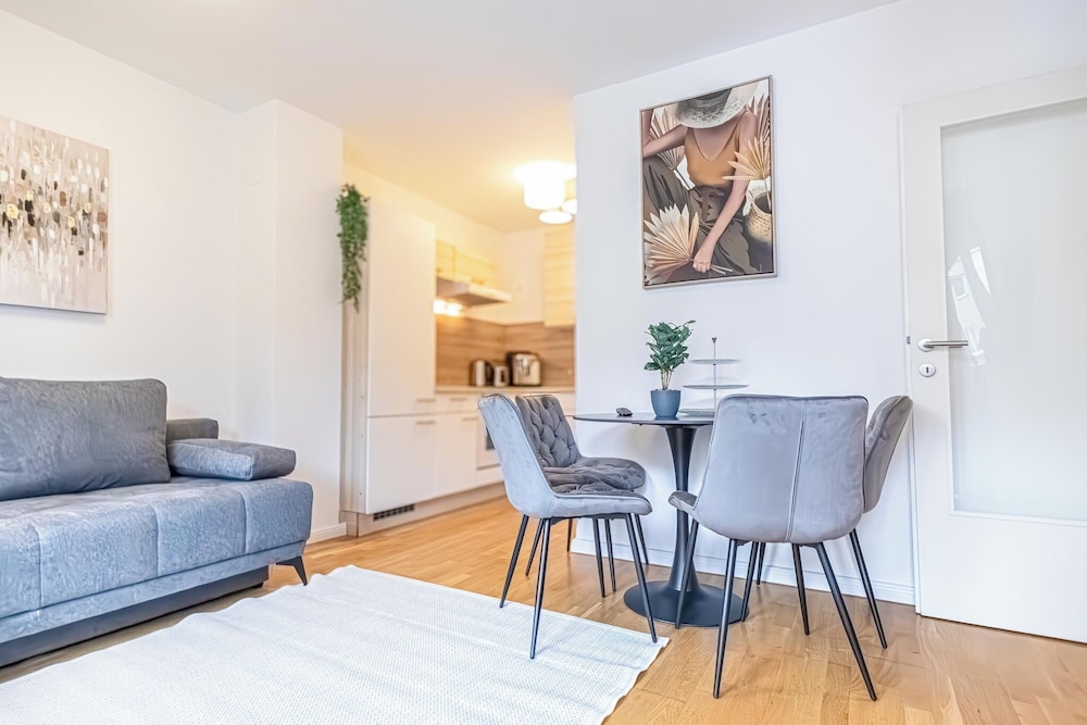 Nice 1BR 1LR Apartment City Center