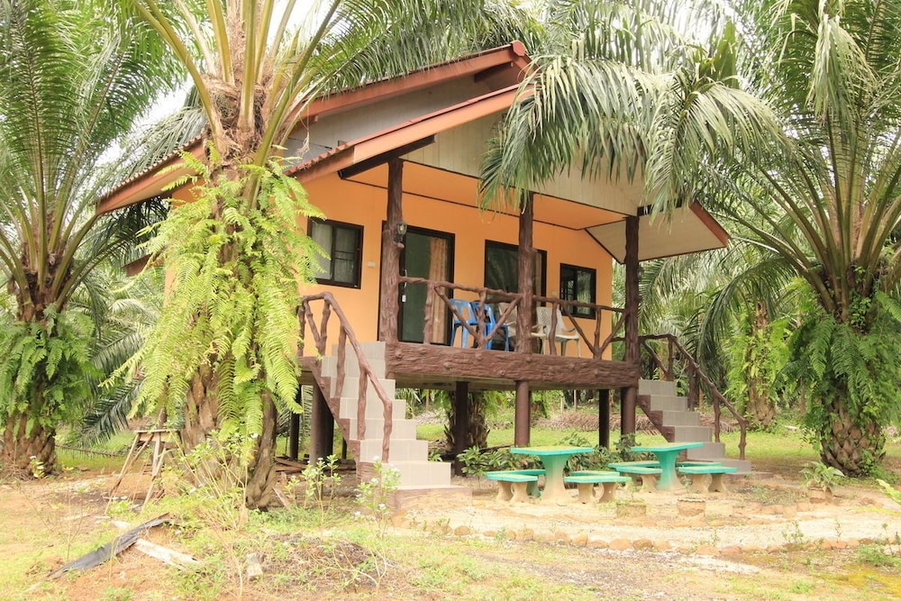 Khaosok Palmview