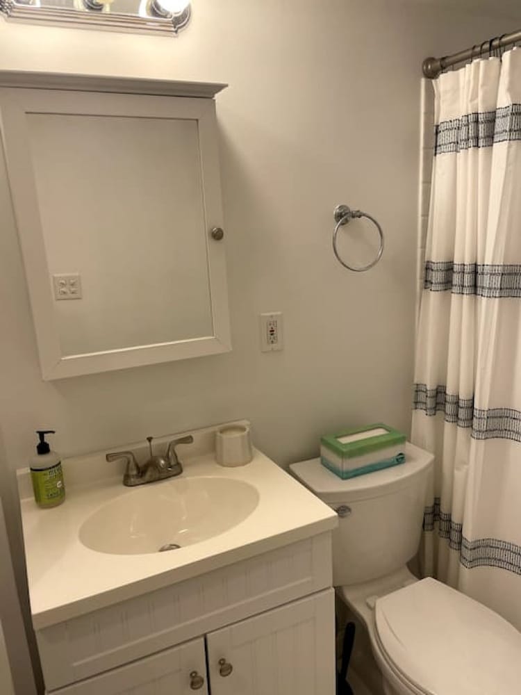 Lovely Two Bedroom Condo in South Boston