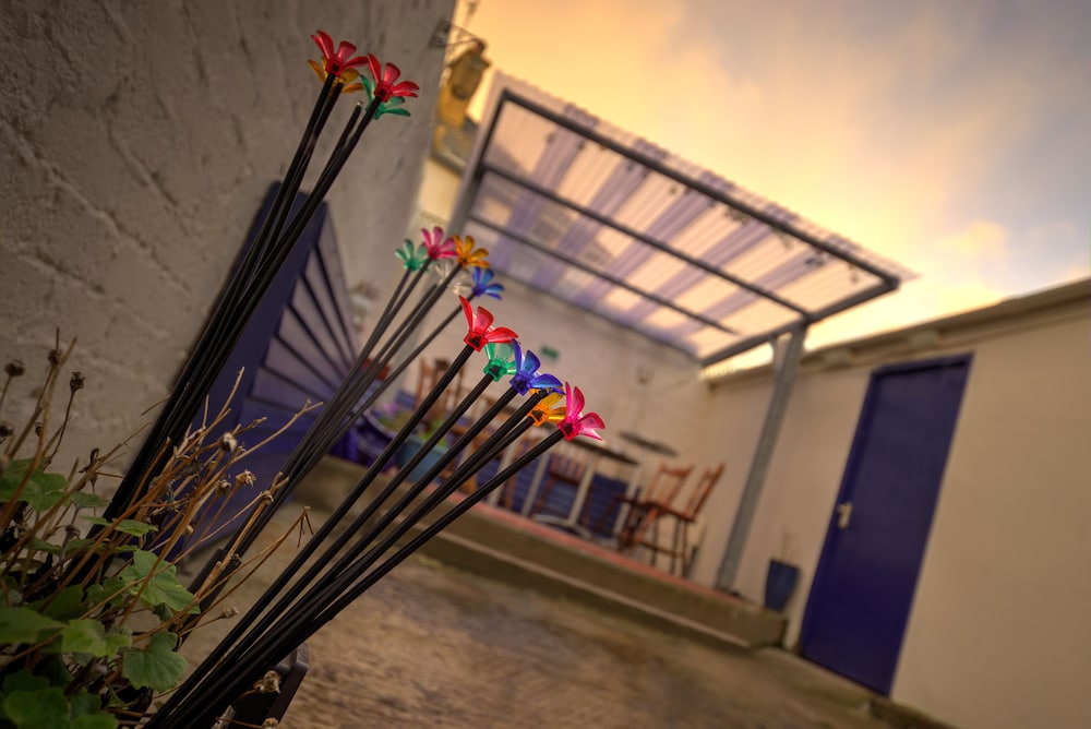 Portrush Holiday Rentals