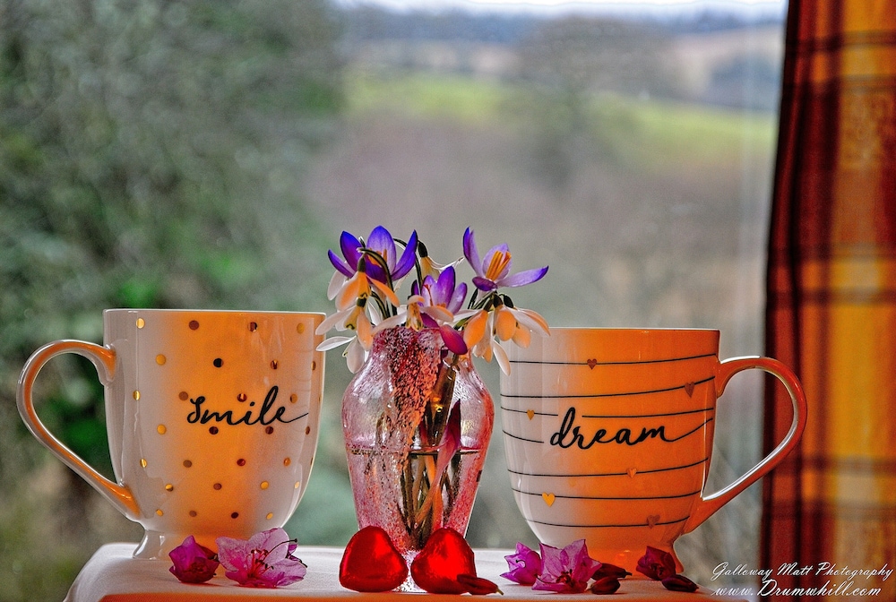 Drumwhill view 3