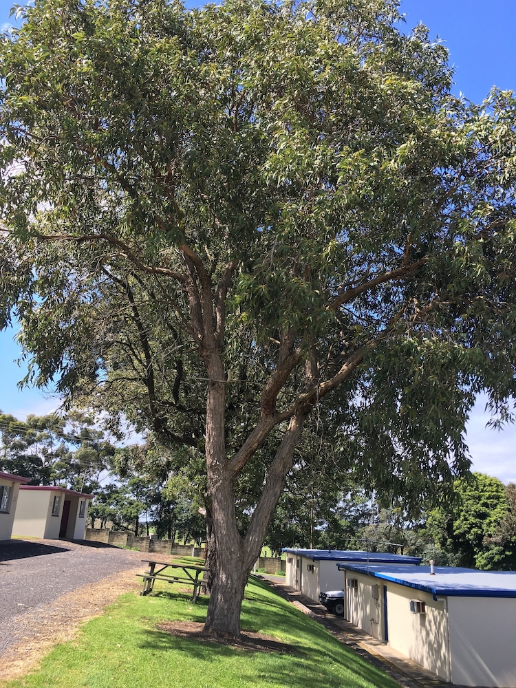 Limestone Coast Tourist Park