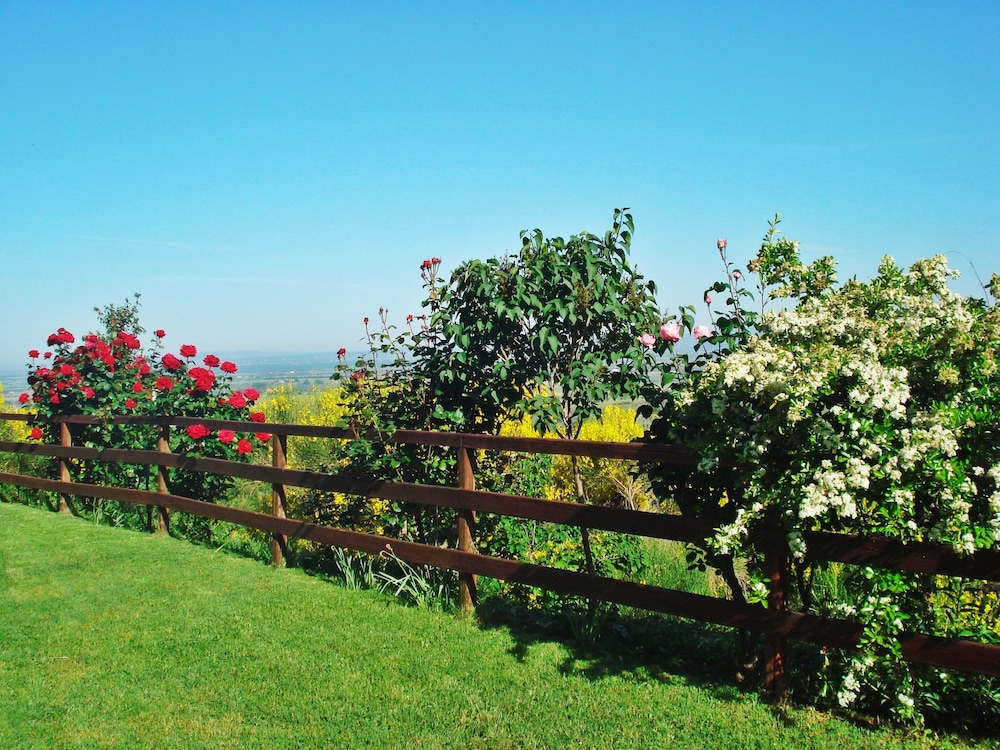 Agriturismo Montigliano