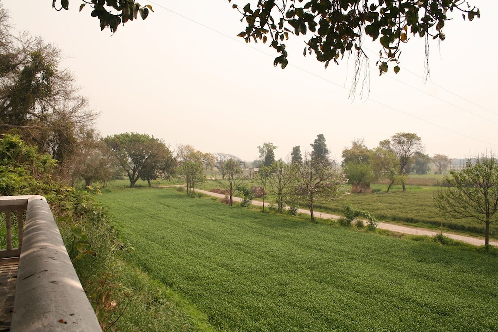Photo 21