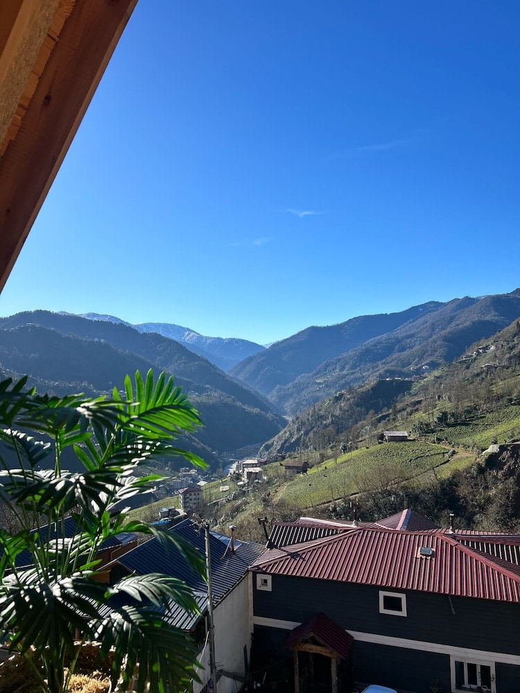Bardi Suit Bungalov