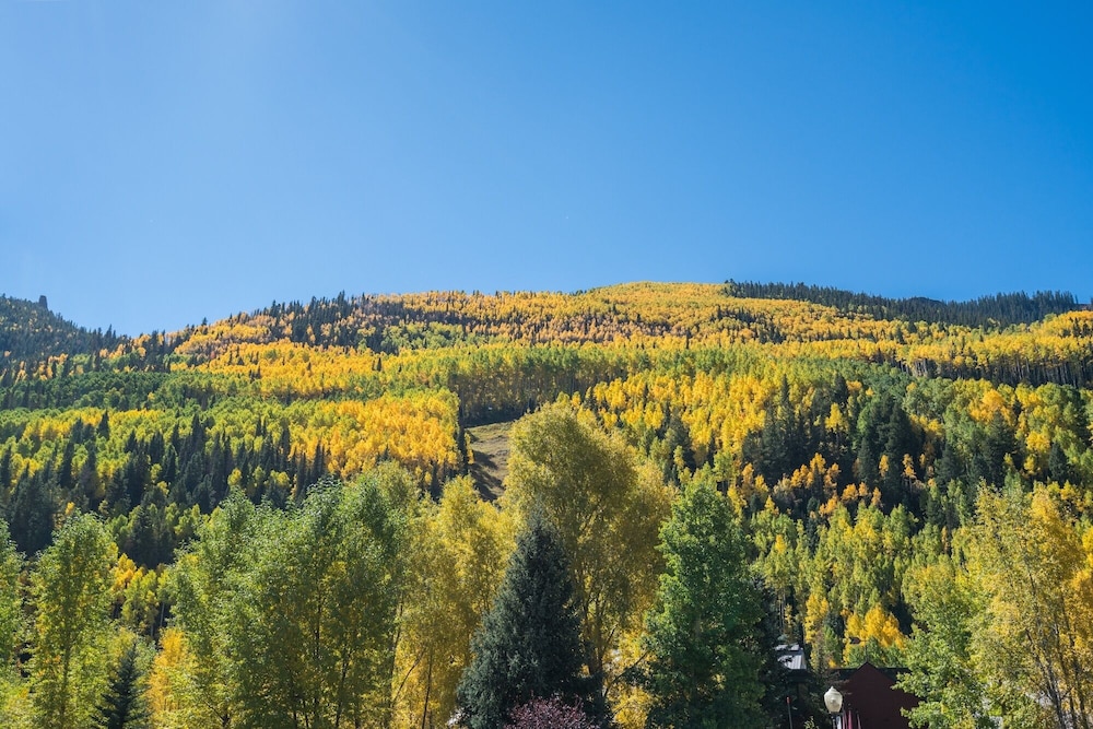 Viking Lodge Condos - Telluride Ski Resort