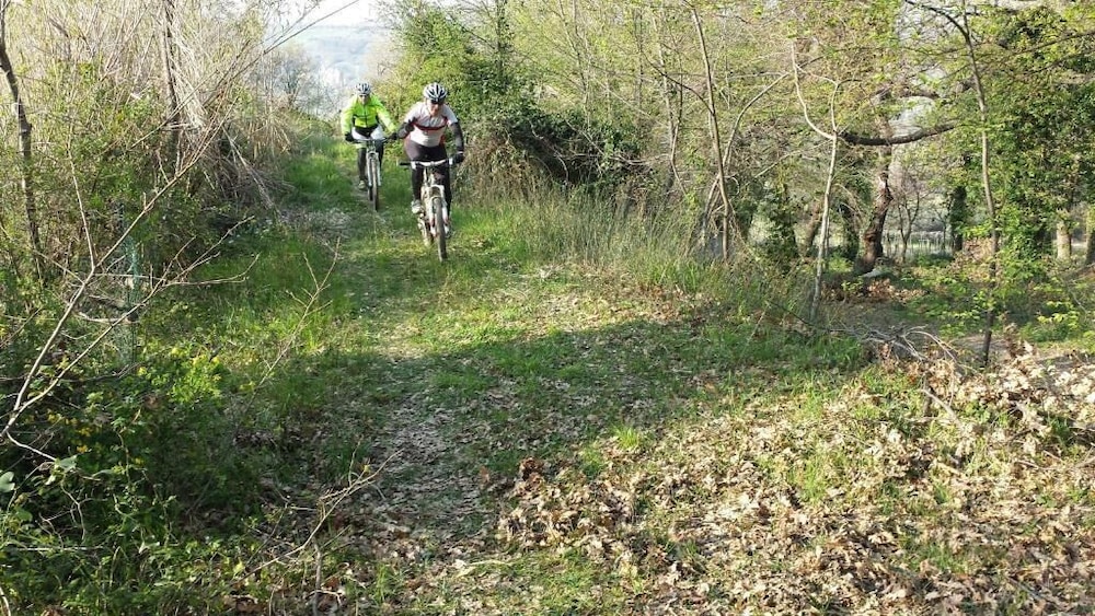 Agriturismo Fattoria dell'Uliveto