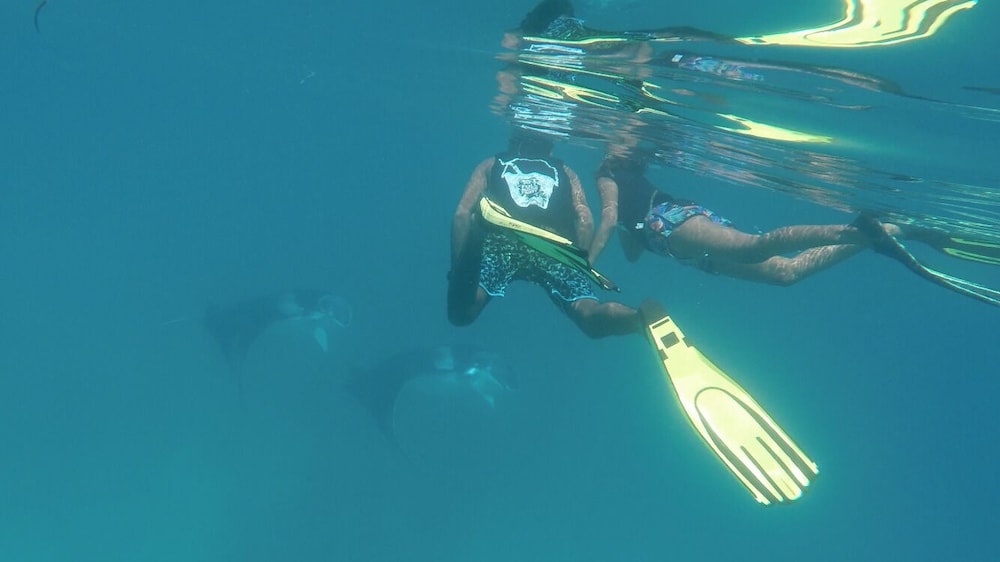 Olive Goidhoo