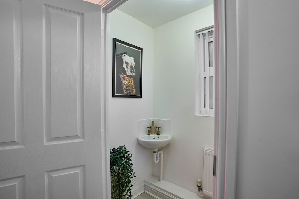 Host Stay Snowdrop Crescent I