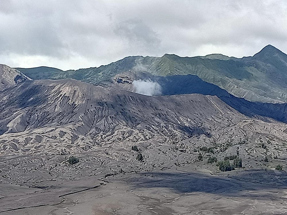 Istana Bromo Resort and Resto view 4