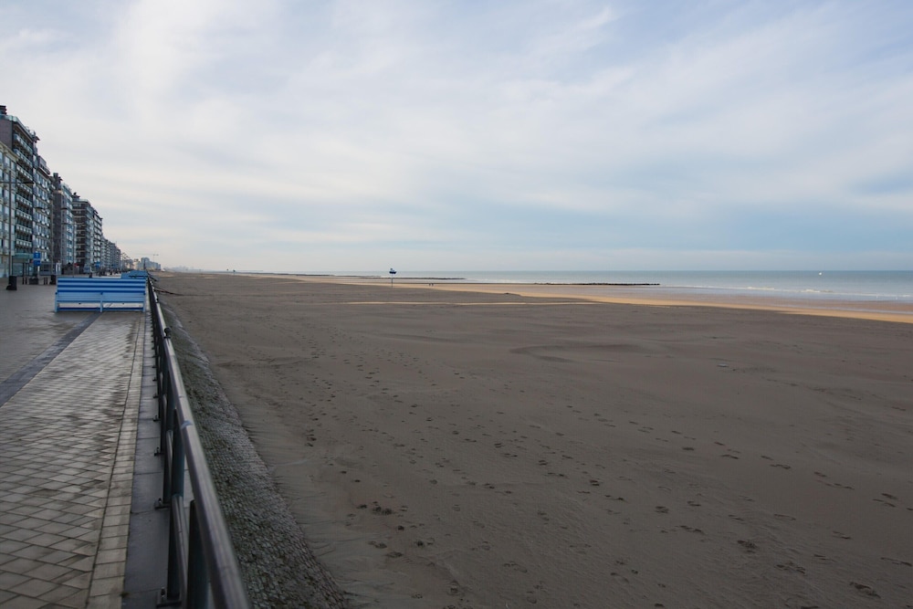 Huize Noordzee Located Directly on the Beach