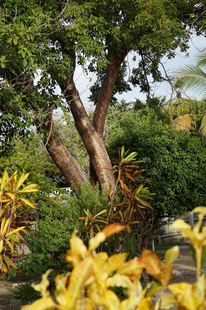 Tri Casa De Suenos Bed & Breakfast