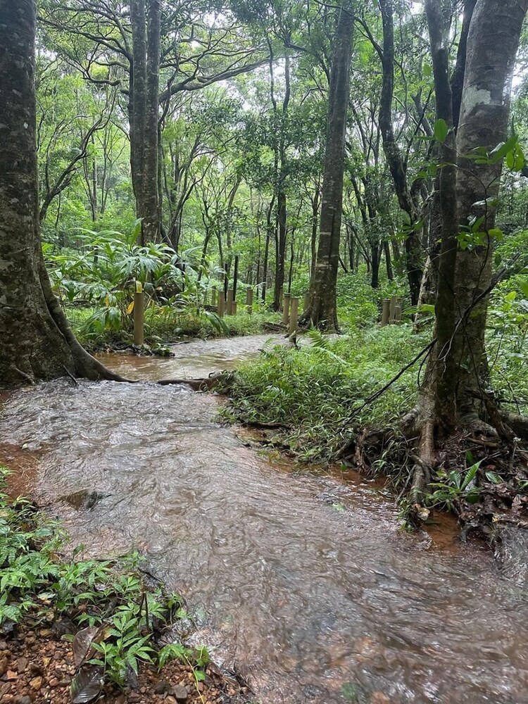 Aavarana Resort