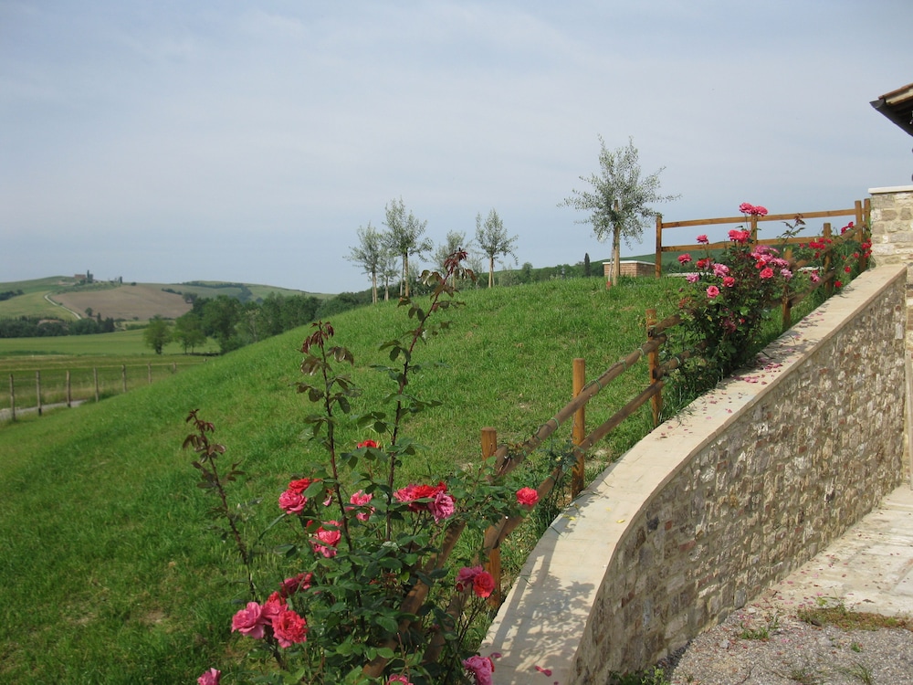 Photo 28