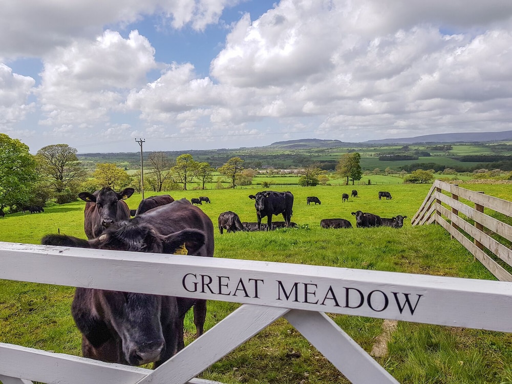 Meadow Cottage at Hill Top Farm view 3