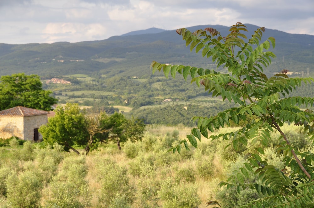 Rustic Tuscan Apartment view 5