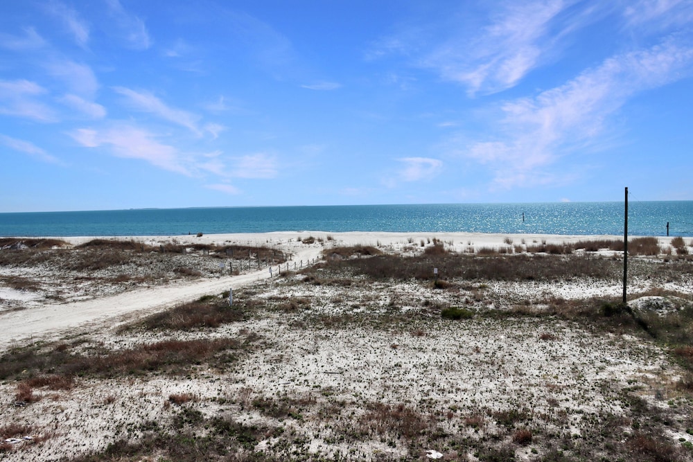 The Blue Turtle view 4