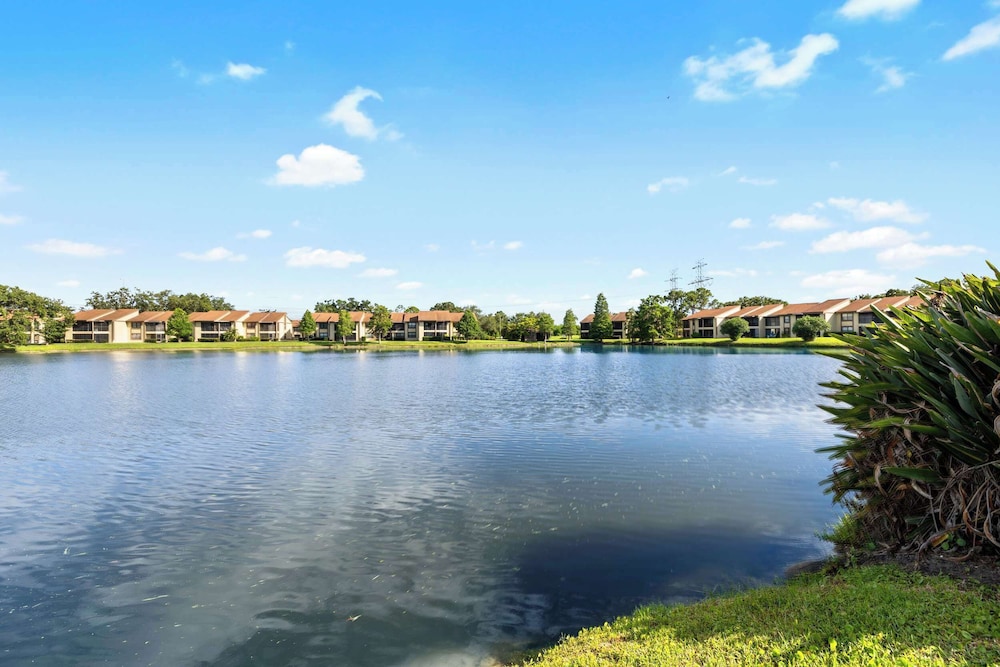 Modern Lakeside Condo 2 Bed, 2 Bath Oldsmar, FL