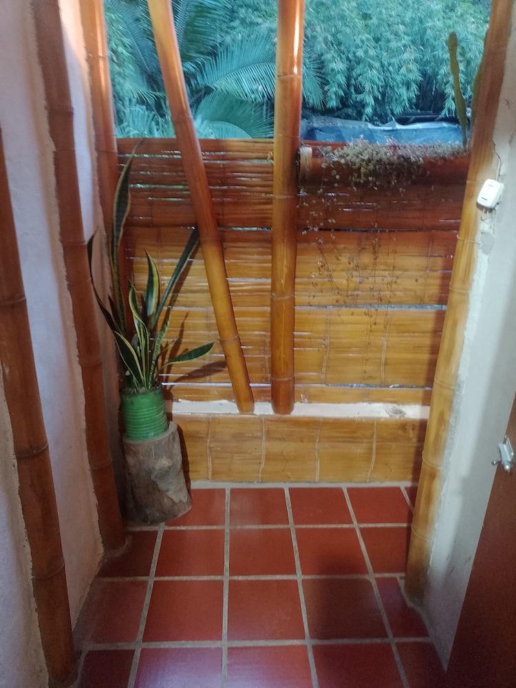 Hostal El Bambú