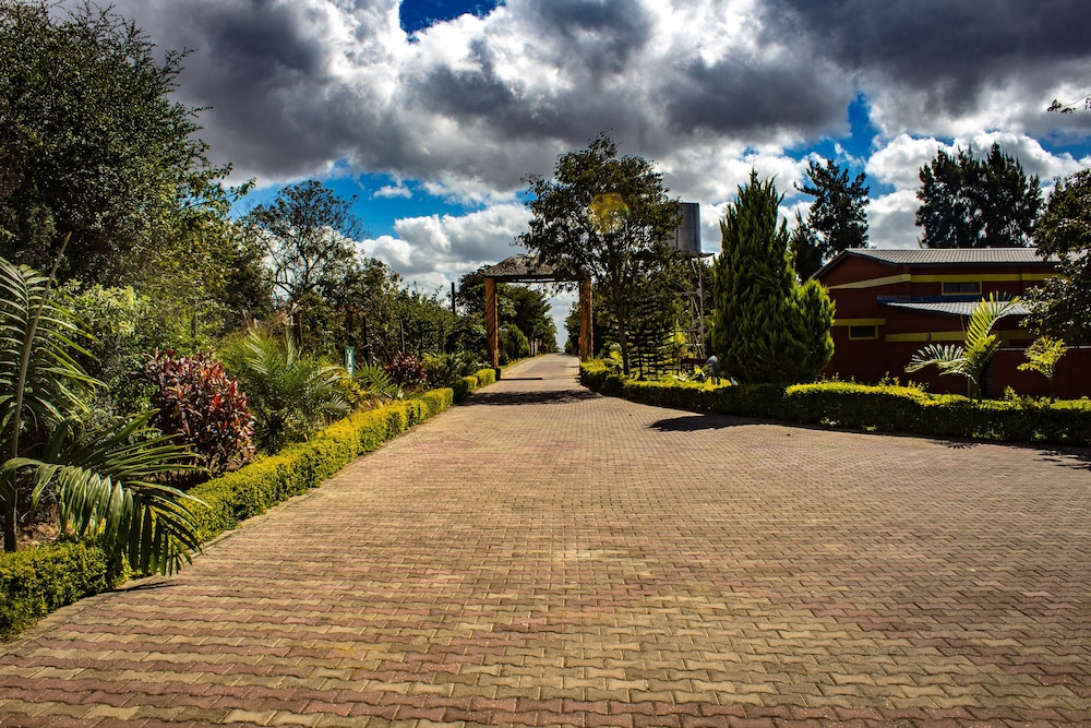 Dream Valley Park & Lodge