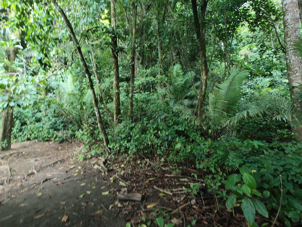 Photo 20