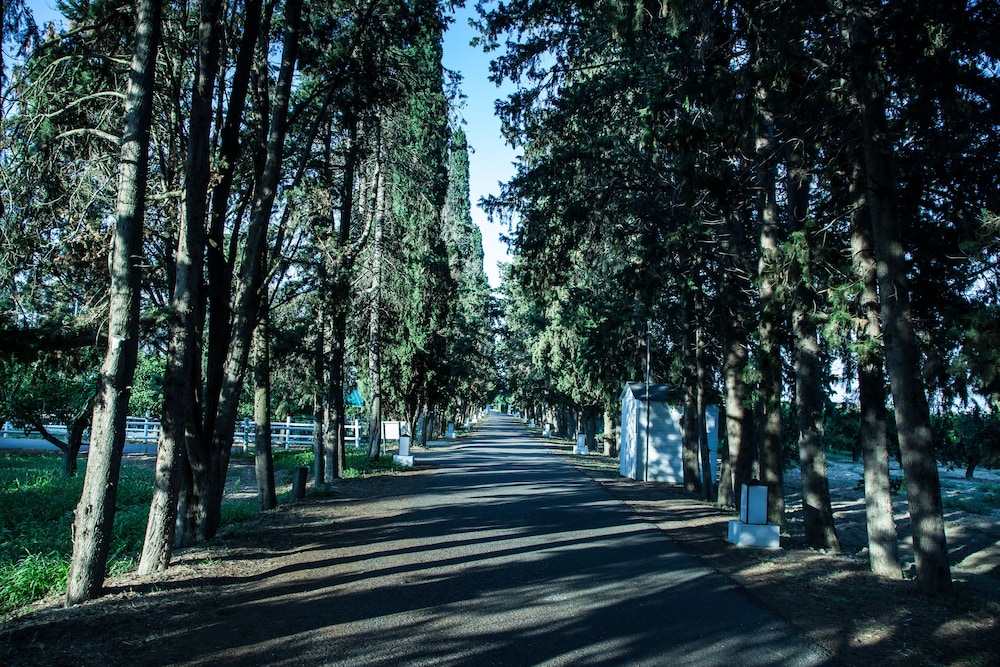 Photo 42