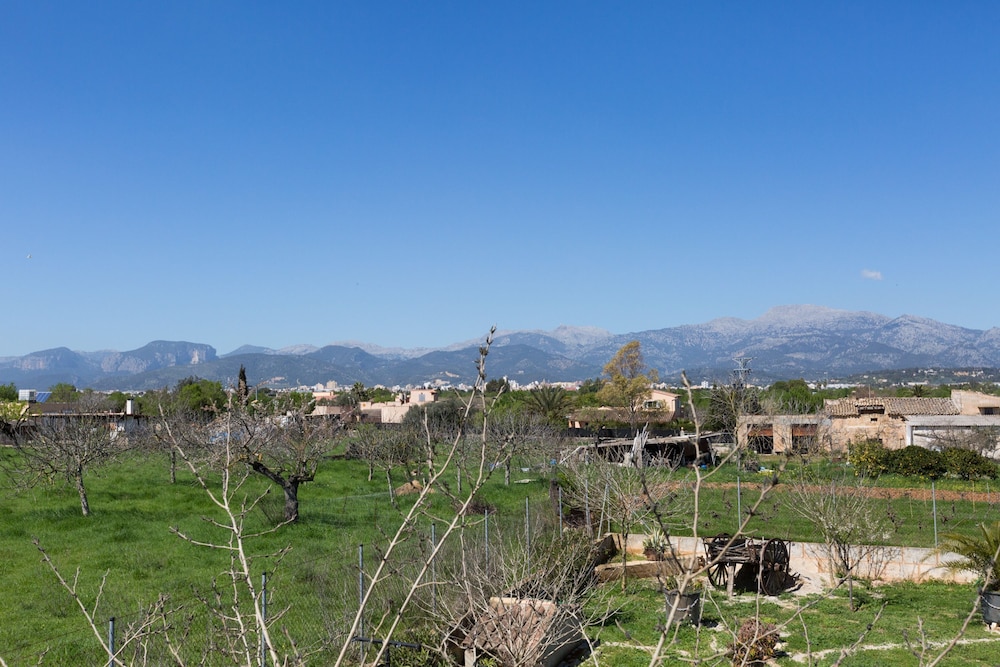 Finca Can Diego in Inca view 5