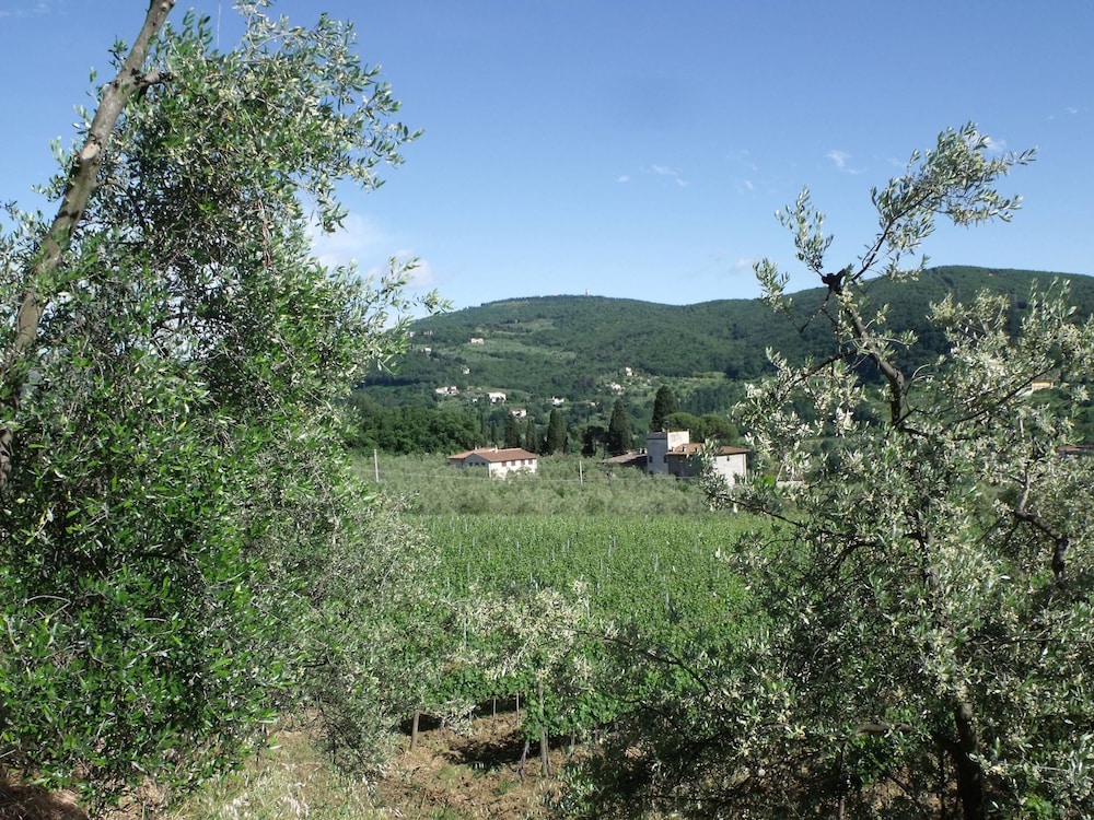 Il Viaio