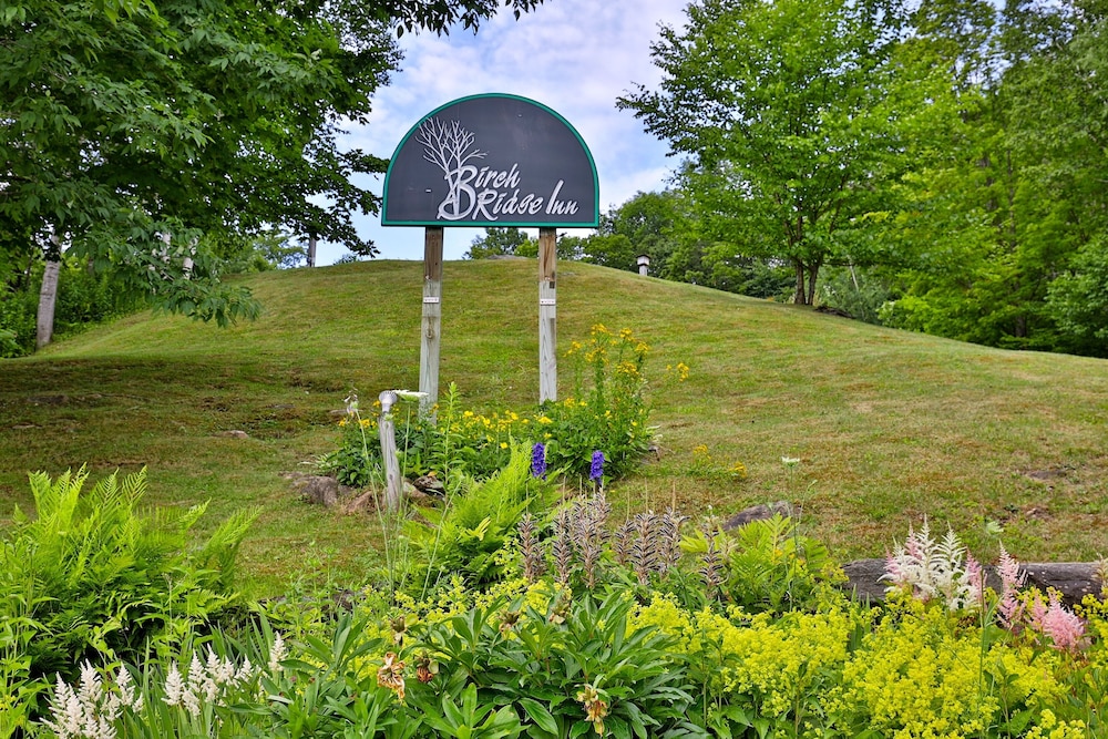 Rent An Inn! Takeover The Birch Ridge W/ Your Group. Mountain Lodge: 11 Rooms, Bar, Fireplace. 28ppl 11 Bedroom Home