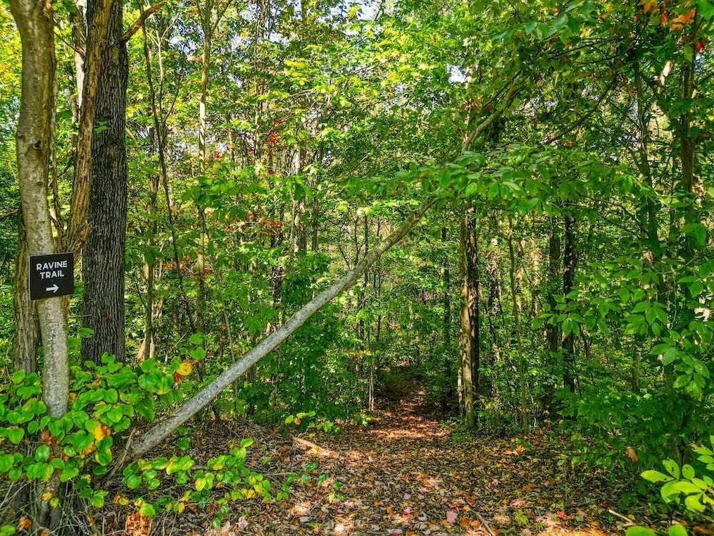 Seven Pines Cabin - Secluded in Hocking Hills