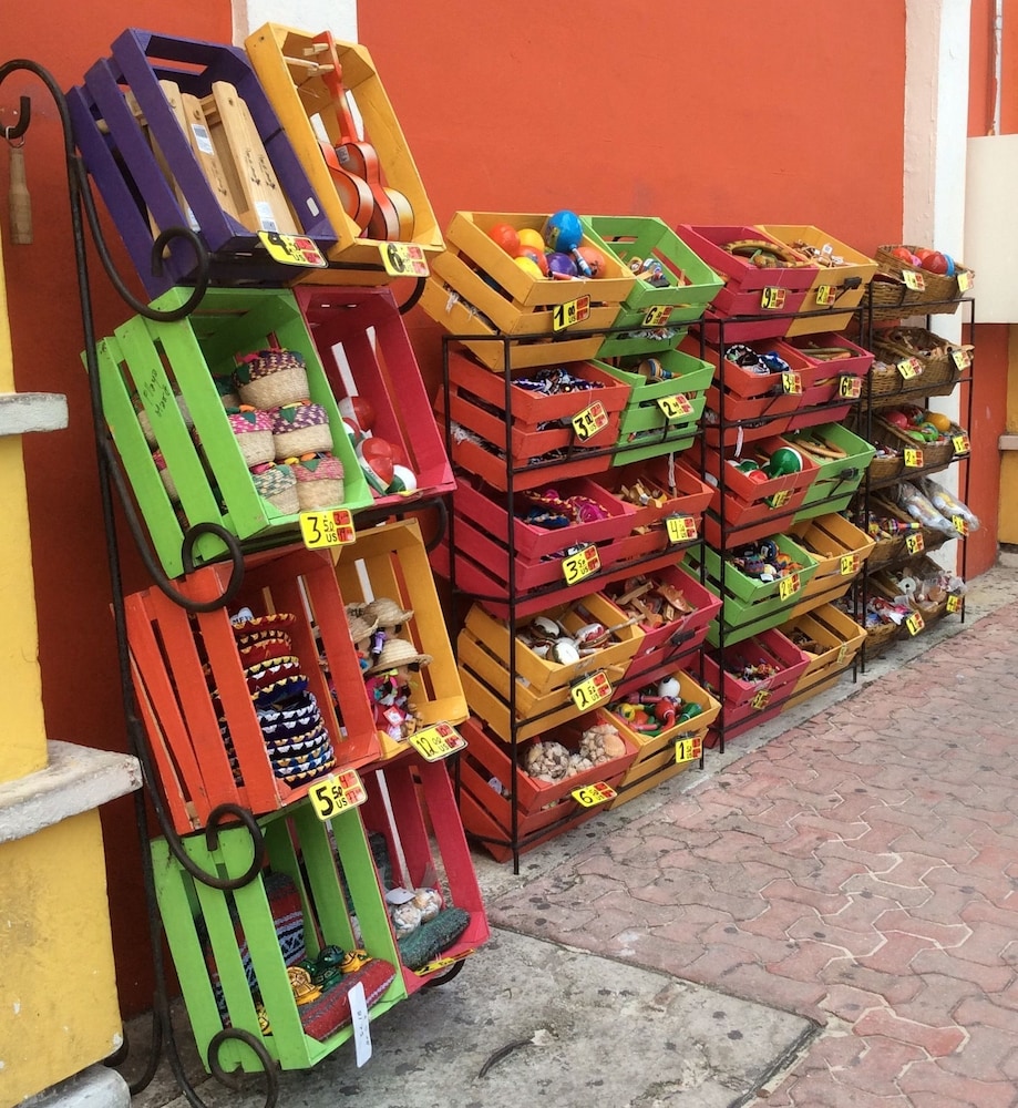Casa Kiwi