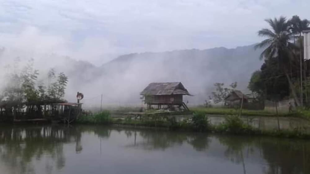 Linh Soi Homestay - Hostel
