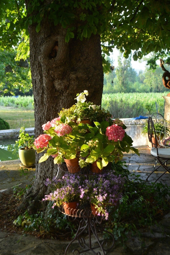 Domaine le Clos du Pavillon